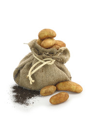 Potatoes in a burlap sack