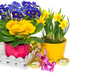 spring flowers with easter decoration