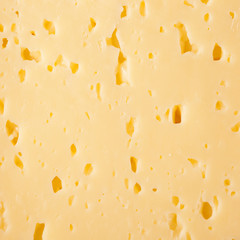 cheese background
