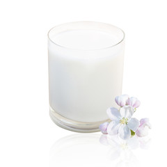 Obraz na płótnie Canvas Glass of fresh milk and apple-tree flower. The concept health