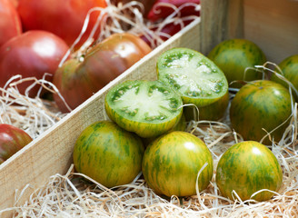 Green tomato variety from Provence