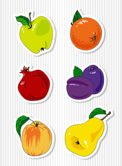 vector set of fruit