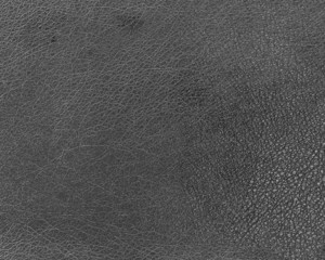 Gray leather texture, background to design or insert text
