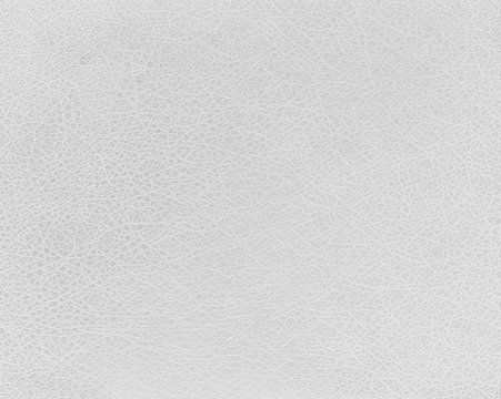 white leather texture, horizontal background