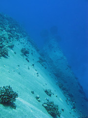 Fototapeta na wymiar Relitto marca Rosso - Shipwreck, Morze Czerwone