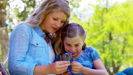 Mother and daughter using a magnifying glass - Powered by Adobe