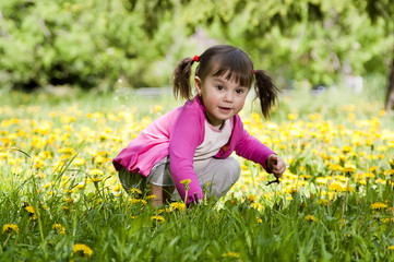 A little girl wearing a pink shirt, sitting on the dandelion fie