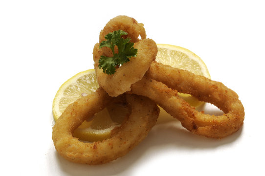 Squid Calamari Calamar Tintenfisch 乌贼