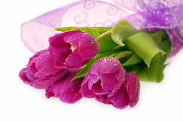 Fototapeta na wymiar bunch of purple tulips