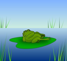 Fototapeta premium Grumpy Frog