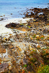 Various pebbles on the shore