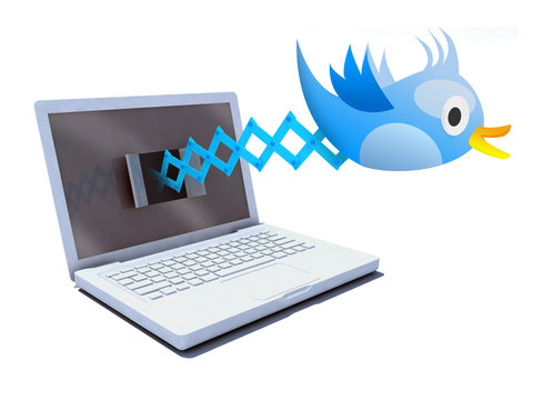 Blue bird tweets and sings on notebook