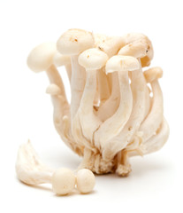 white beech mushrooms