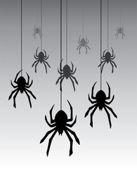 vector hanging spiders