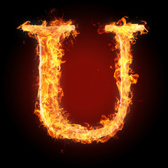 Fototapeta premium Fonts and symbols in fire for different purposes