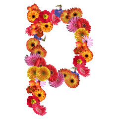 High resolution conceptual flower font isolated