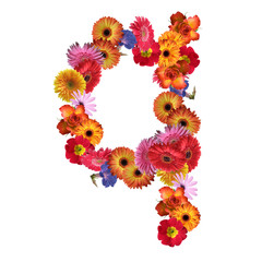 High resolution conceptual flower font isolated