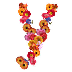 High resolution conceptual flower font isolated