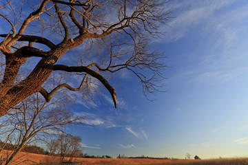 Rural peaceful scenery with deep blue sky and stratus clouds