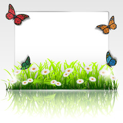 Frame with grass,chamomiles and butterflies