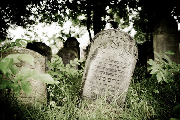 stary cmentarz 8
