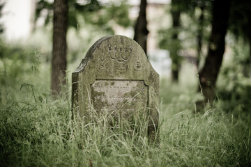 stary cmentarz 1