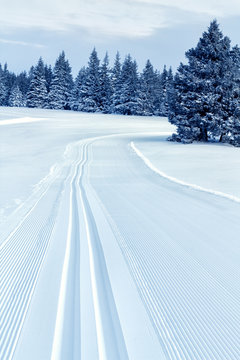 Track for Cross-Country Skiing