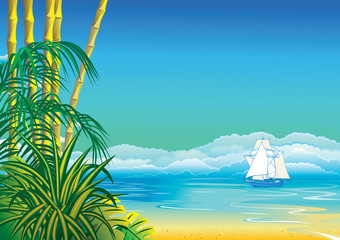 Jungle on the ocean background.