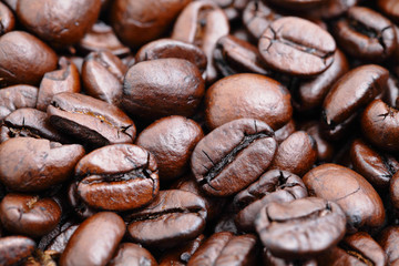 coffee bean background