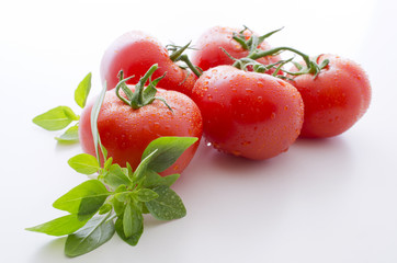 Tomates grappe basilic