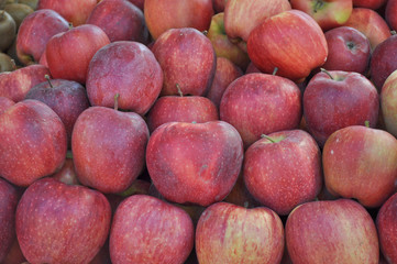 Apple fruit