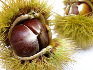 Chestnuts