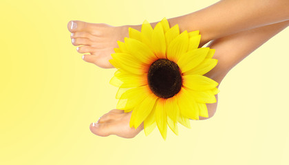 Woman feet with flower.