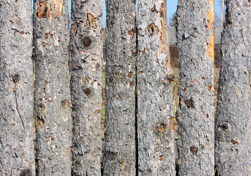 Close up of  wooden fence panels
