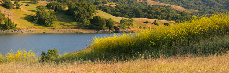 California lake and hillside in summer