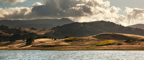California hillside in summer - Powered by Adobe