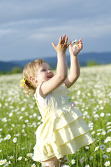 girl with camomiles