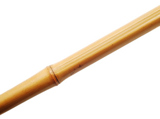 bamboo stem