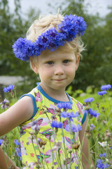 a little girl in a wreath of cornflowers