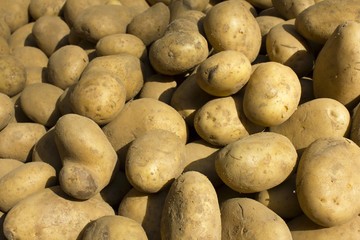 marché pommes de terre market potatoes paris 3
