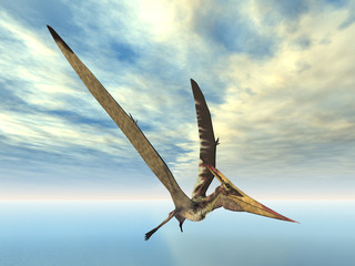 Pteranodon © Michael Rosskothen