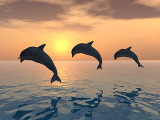 Jumping Dolphins © Michael Rosskothen