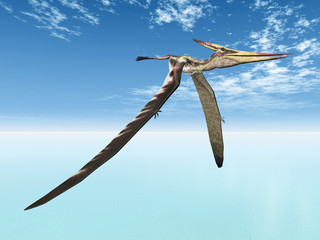 Flying Dinosaur Pteranodon © Michael Rosskothen
