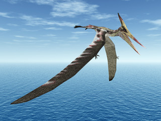 Pteranodon © Michael Rosskothen