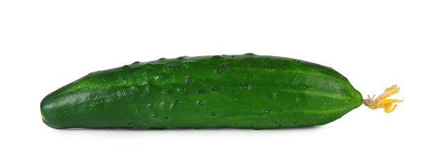 Green cucumber with flower