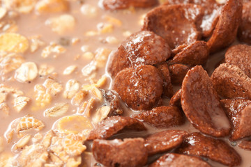 Cereals made from whole grain and chocolate crunchy with milk