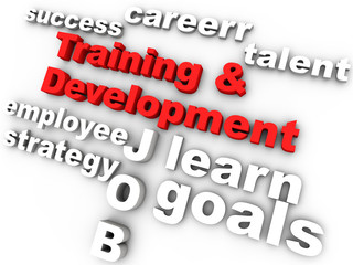 training and development in red surrounded by relevant words