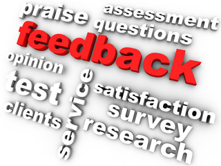 feedback in red surrounded by relevant words