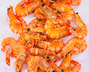 shrimps at fishmarket