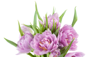 Pink tulips bouquet